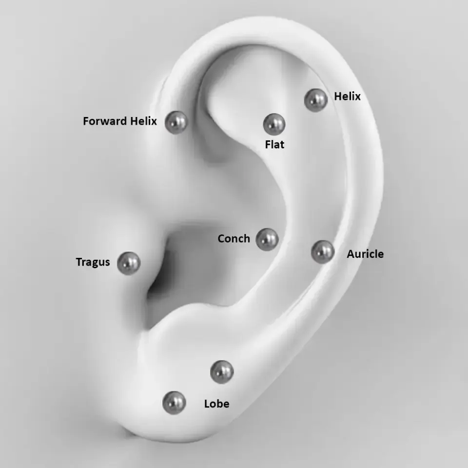 Kulak tragus bölgesinde kullanılan flatback cerrahi çelik piercing