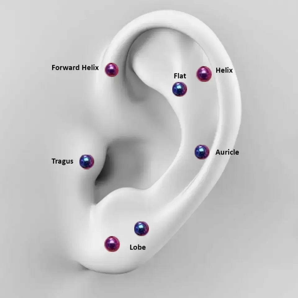 İlk delim için uygun kararmaz dudak tragus kıkırdak piercing takısı