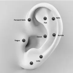 Toplu siyah flatback piercingin tragus ve kıkırdak bölgeleri gösterimi 