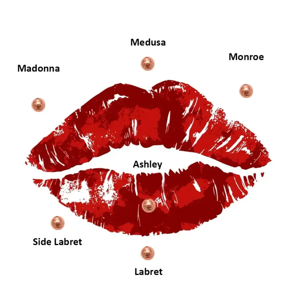 Farklı bar uzunluklarına sahip cerrahi çelik dudak piercing seçenekleri