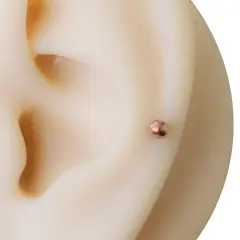 3mm top seçenekli rose dudak piercingin kıkırdakta duruşu