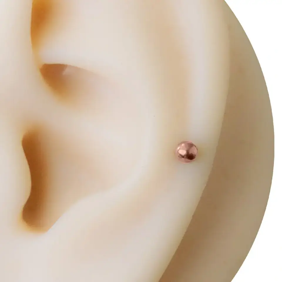 3mm top seçenekli rose dudak piercingin kıkırdakta duruşu