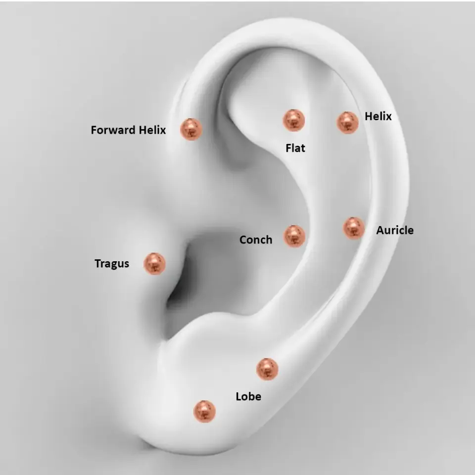 rose renkli dudak piercingin kıkırdak kulak bölge isimleri