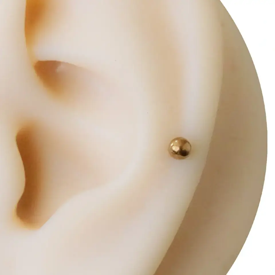 gold toplu dudak piercingin kıkırdakta duruşu