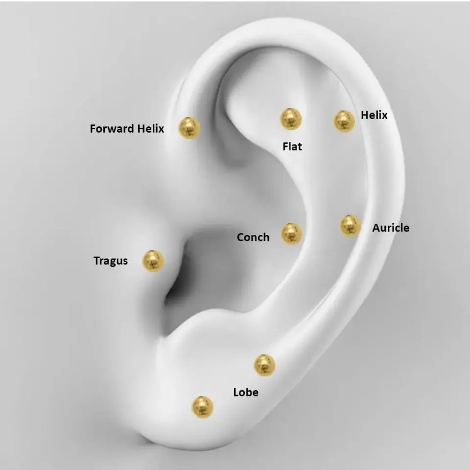 Hassas ciltler için uygun antialerjik gold tragus piercing kıkırdak bölgeleri